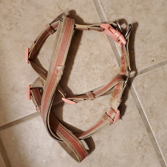 Pink harness - Picture 2 of 2
